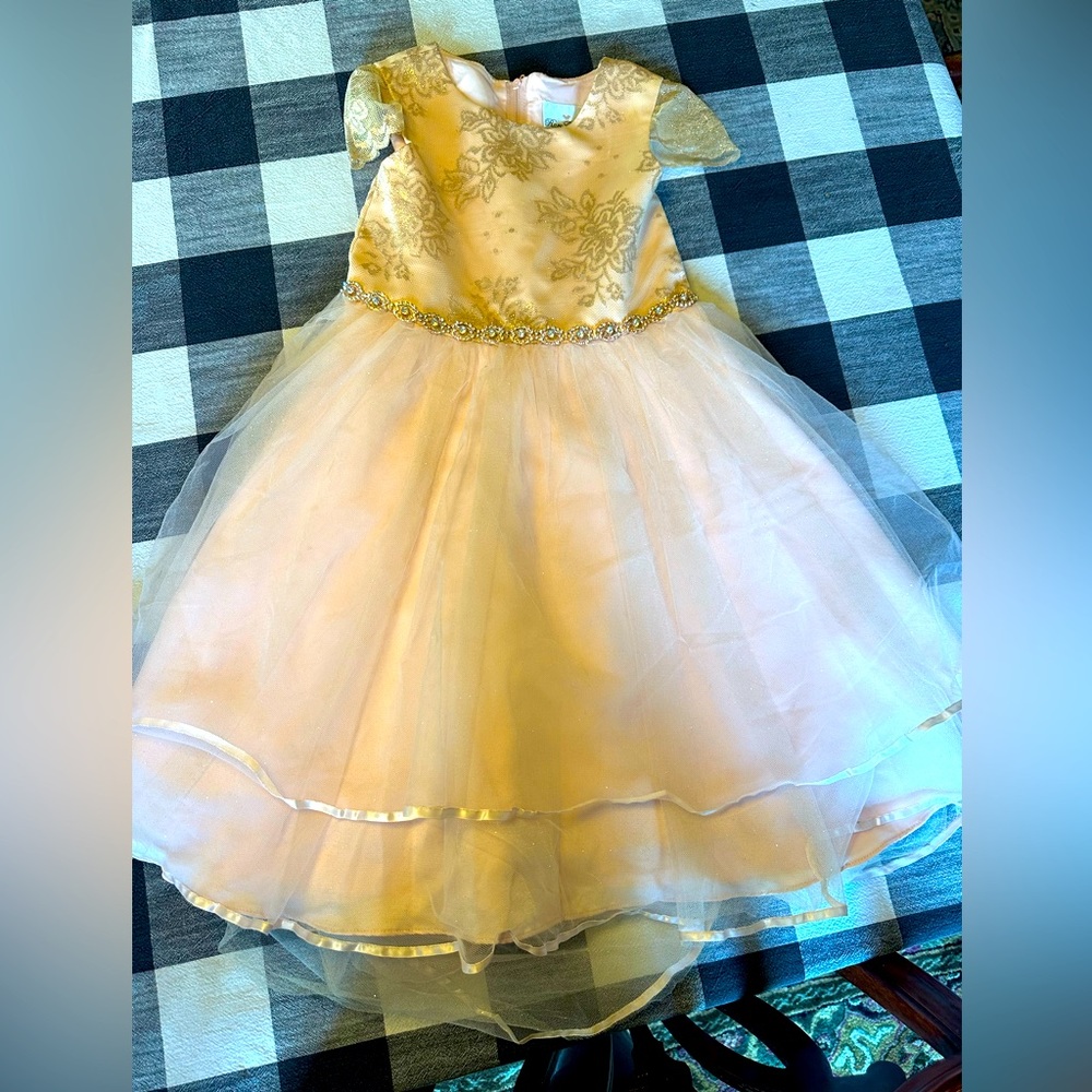 Girls beautiful 6x Pink princess dress